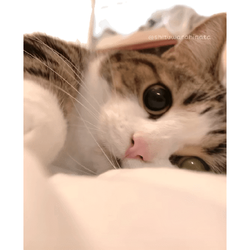 1876525504.png