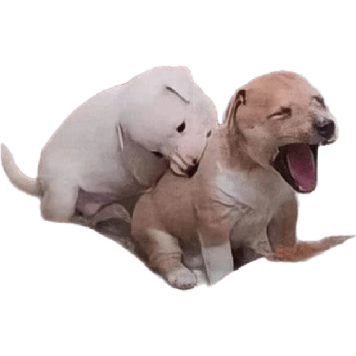 1879386523.png