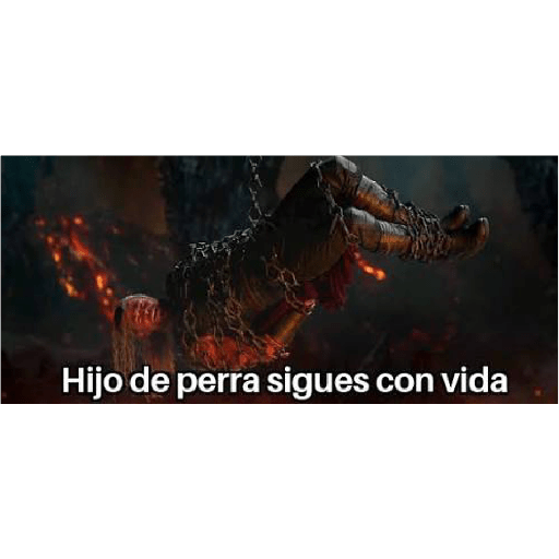 XDD 24