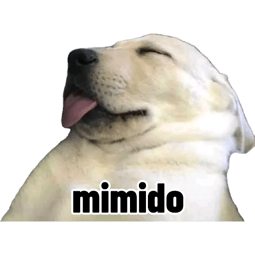 XDD 16