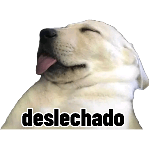 XDD 17