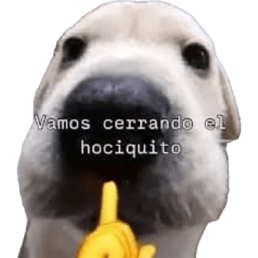 XDD 4