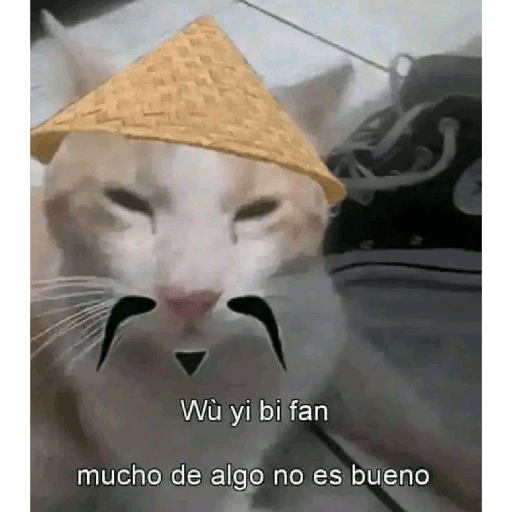 XDD 21