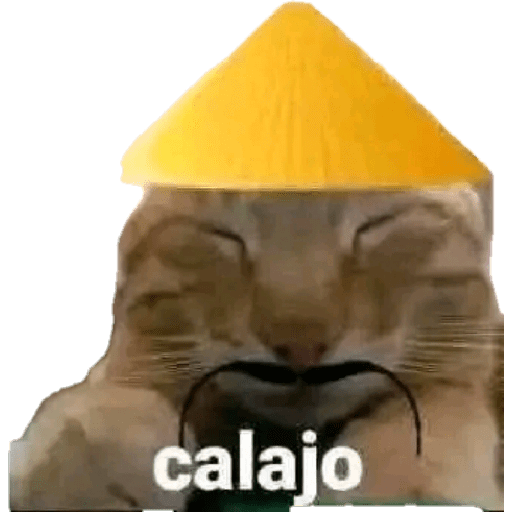 XDD 23