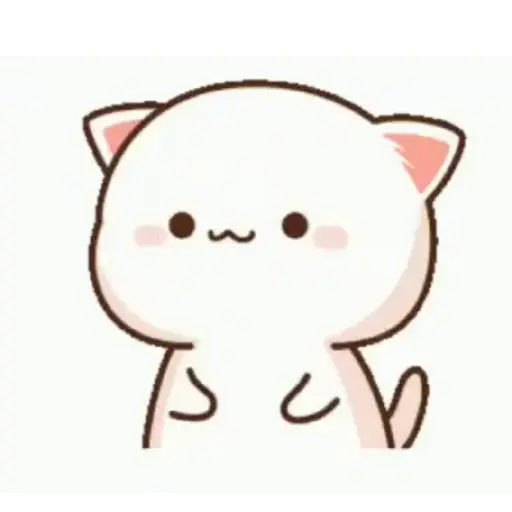 Kucing gemoy 8