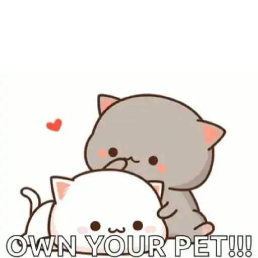 Kucing gemoy 11
