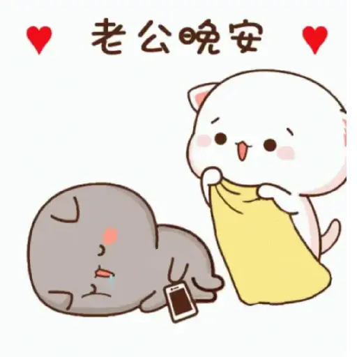 Kucing gemoy 5