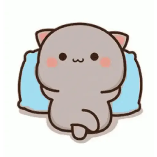 Kucing gemoy 12