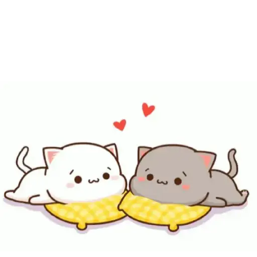 Kucing gemoy 25