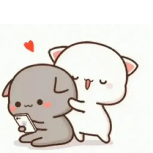 Kucing gemoy 6