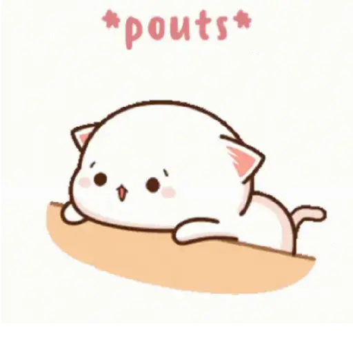 Kucing gemoy 15