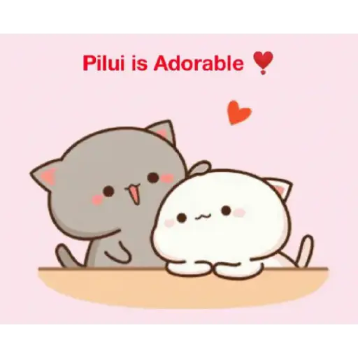 Kucing gemoy 23