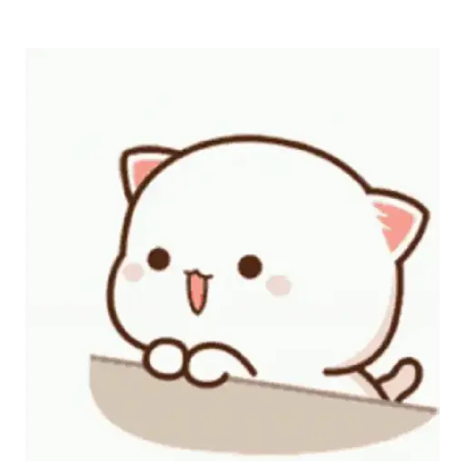 Kucing gemoy 7