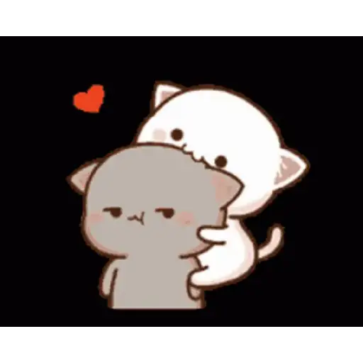 Kucing gemoy 17