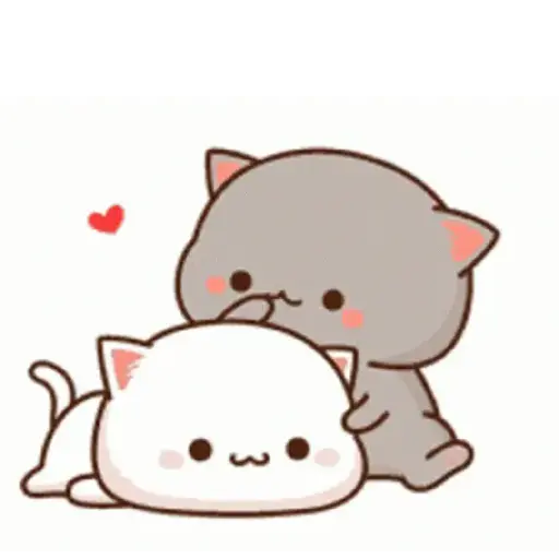 Kucing gemoy 1
