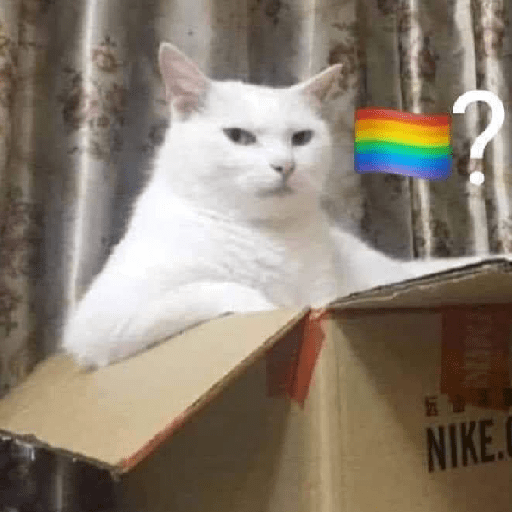 Gatos 4