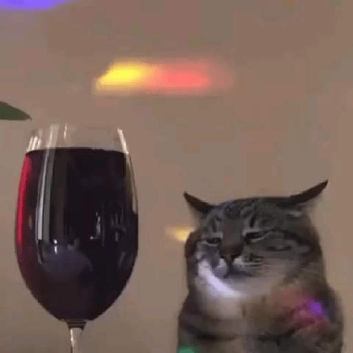 Gatos 6