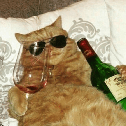 Gatos 8