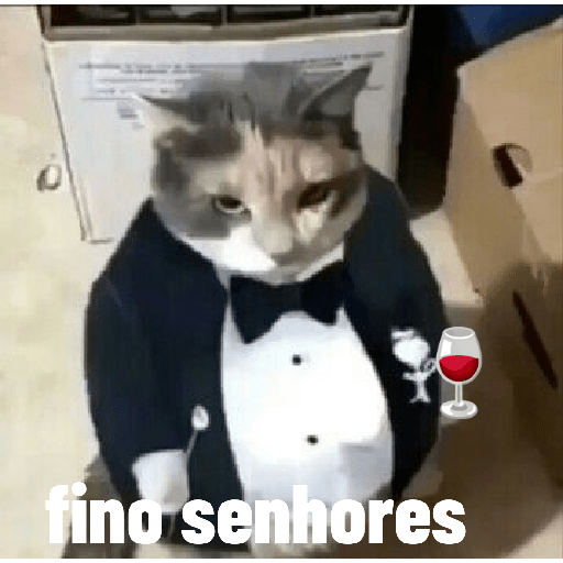Gatos 16