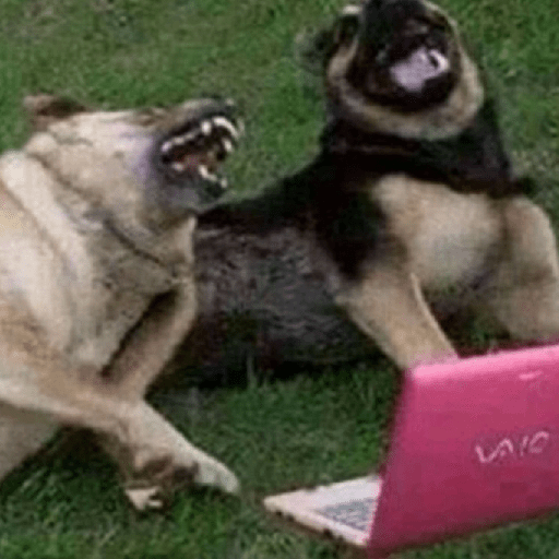 Perritos  14