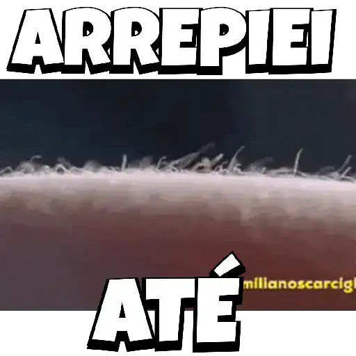 Anime1 12