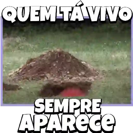 Anime1 9