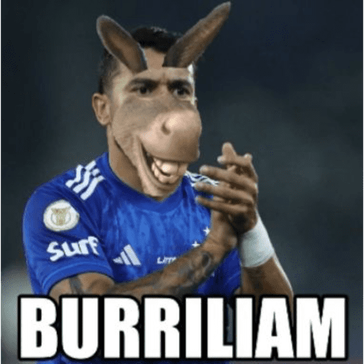 CRUZEIRO 7