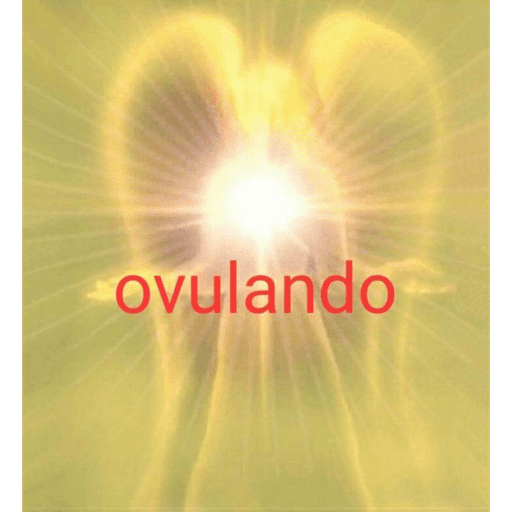 Memes2 8