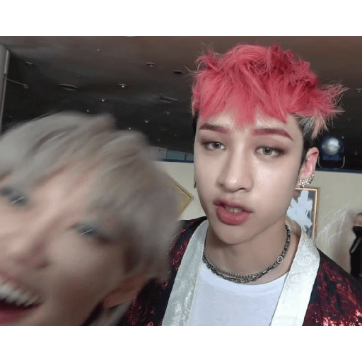 Stray kids