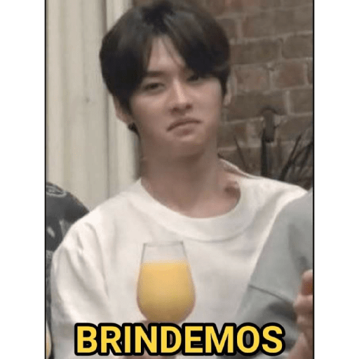 Stray kids 24