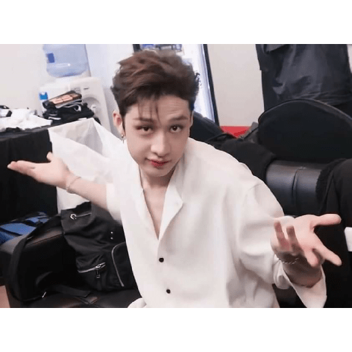 Stray kids 14