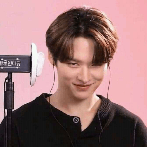 Stray kids 15