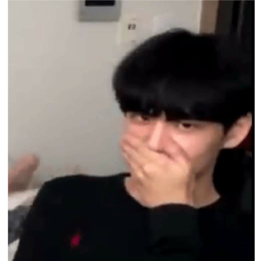 Stray kids 25