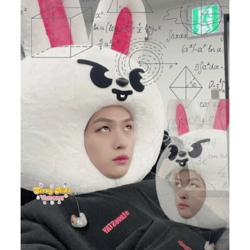 Stray kids 11