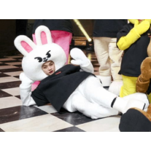 Stray kids 16