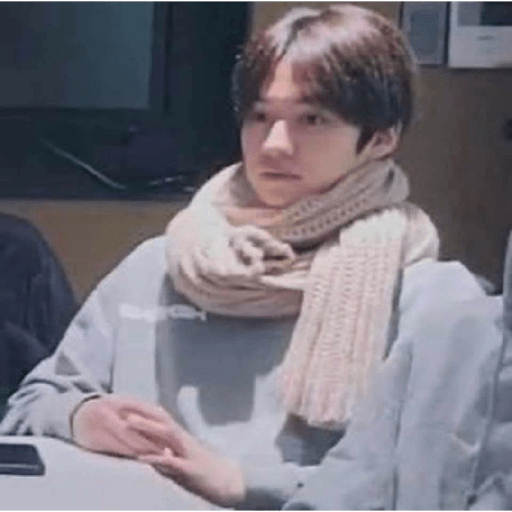 Stray kids 29