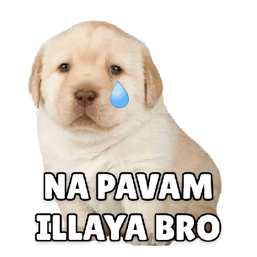 Cheems tamil stickers doge 25