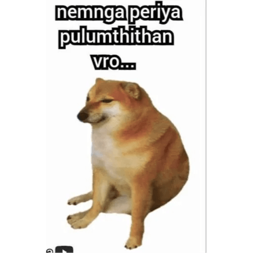 Cheems tamil stickers doge 23