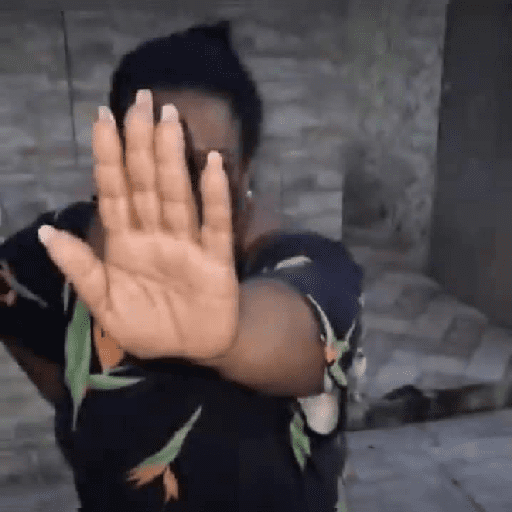Estáticos floptok 3  4