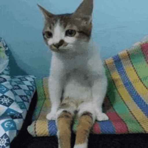 స్టికర్