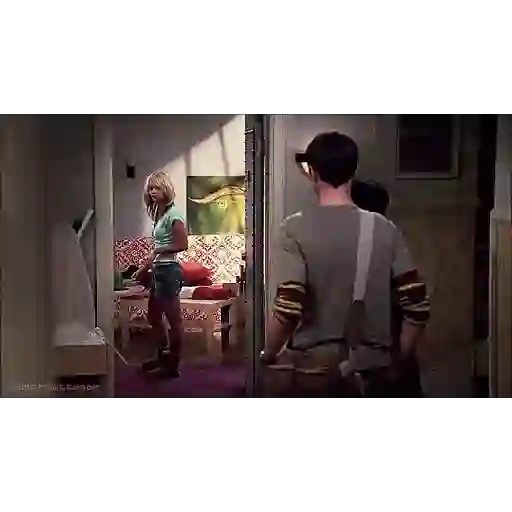 The big Bang theory 13