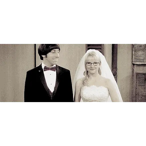 The big Bang theory 14