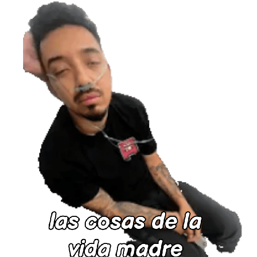 Perros criollos  12