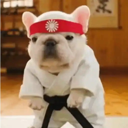 Pibble 20
