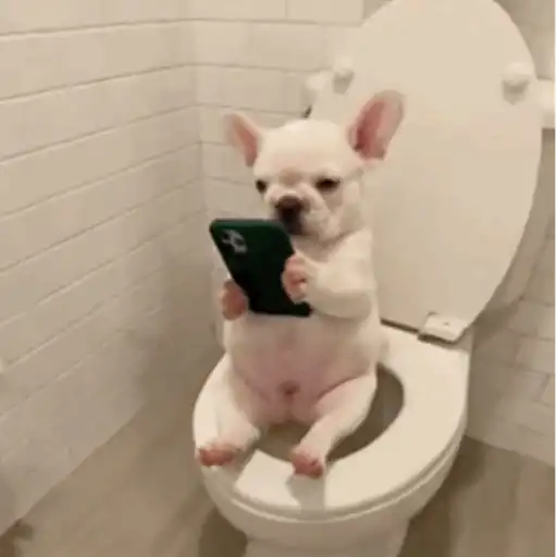 Pibble 15