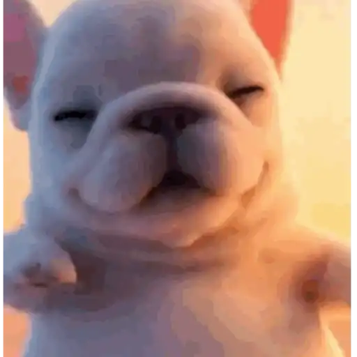 Pibble 2