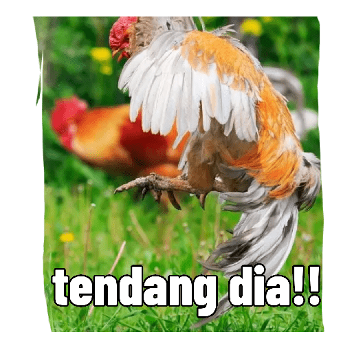 cabfe413-a122-43b9-a8db-1b62a18cfd7b.png