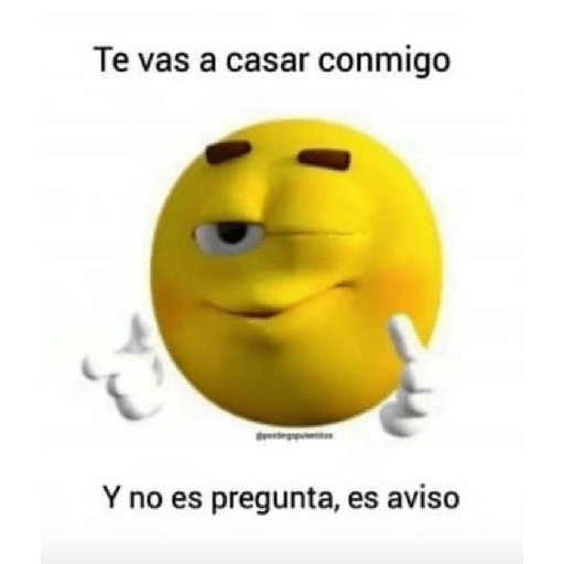 Bolita amarilla 2 26