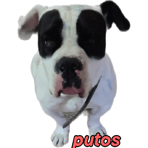 Hugo 2