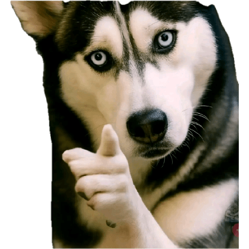 Hugo 5